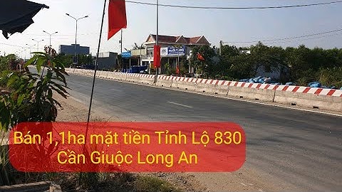 Bán 1,1ha đất mặt tiền Tỉnh Lộ 830 Cần Giuộc,Long An | Đất gần Cảng Quốc Tế Long An | bds long an