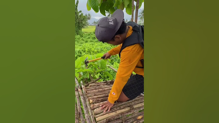 Bongkar rumah pohon mau di rubah menjadi rumah pohon tingkat 2🤤 #360 #KOOKIKO