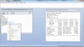 Famous Auxiliary regressions in EVIEWS Profile