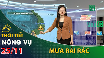 Thời tiết nông vụ 25/11/2023: Tây Nguyên, Nam Bộ có mưa rải rác | VTC14