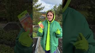 ✅Подзимний посев лука #shorts