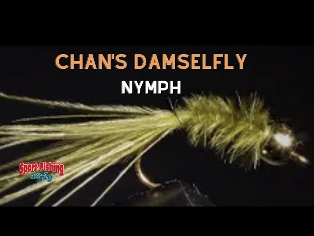 BEGINNER FLY TYING: BRIAN CHAN's Baby Damselfly Nymph