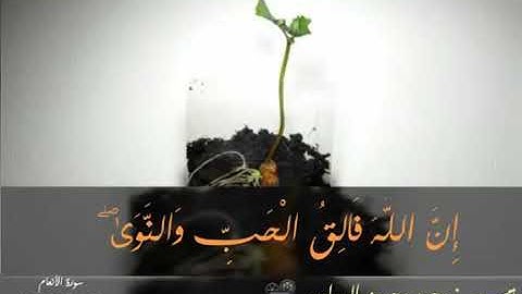 سورة الأنعام الآية(95-99)