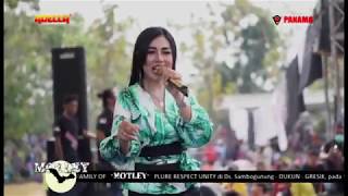 kereta malam - nona ayu - adella live sambogunung