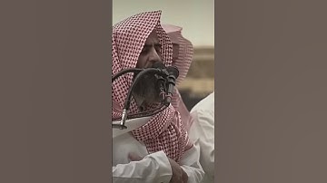 القارئ محمد الحيدان ماتيسر من القرآن آيات القرآن الكريم #قران_كريم #تذكار #love #quran #قران_كريم