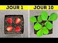 31 CONSEILS INCONTOURNABLES POUR TON JARDIN