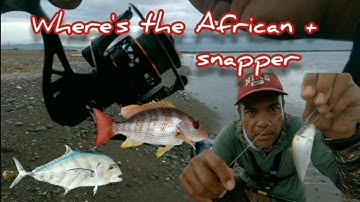 In search of the African pompano or snappers..🇯🇲🎣