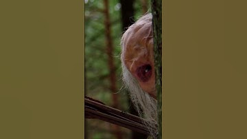 Cold Opening Scene from Wrong Turn 6 🥶 #shorts
