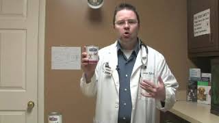 Dog Food for Dogs With Colitis