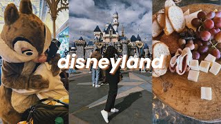 DISNEYLAND VLOG ✨ GRAND CALIFORNIAN HOTEL ROOM TOUR, MAGIC KEY TERRACE, RISE OF THE RESISTANCE