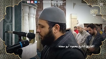 تلاوه خاشعه 56 || للقارئ الشيخ محمود أبو سعده الليلة الرابعة والعشرون رمضان 1446