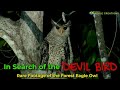 In Search of the Devil Bird | Ulama