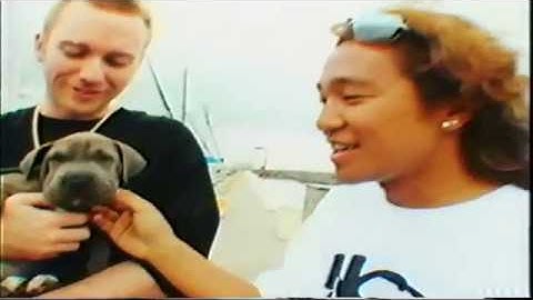 Def Tech - High on Life