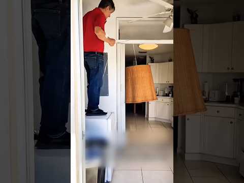 Anjing Ini Di Jebak Agar Bisa Mandi #shots #feedshorts #viralshorts #trending