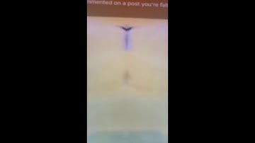 Pingu Intro Cookie Major Slow Voice