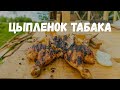 Как приготовить сочную курочку на углях. Цыпленок табака на мангале.