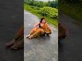 Kaka Amra 2 Jon Bosi Shortsfeed Funny Trending Comedy Love Boudicomedy Indian Kaka Amra 2 Jon Bosi Shortsfeed Funny Trending Comedy Love Boudicomedy Indian