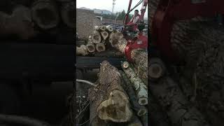 4,2-Meter-Holzkran bei der Arbeit in China
