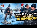 ПРАНК! Ловлю КУПЛЕННУЮ РЫБУ на БОРЩ!! РАЗВЕЛ рыбаков, А они в ШОКЕ! ПРАНК 2022 Борода ТВ