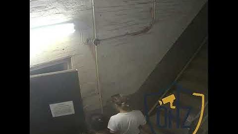 Detect. Track. Apprehend. See Senstar