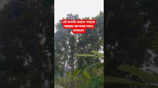 এই কথাটা বলতে পারলে #abu_toha_muhammad_adnan #adnan #islamicstatus #viralvideo #ওয়াজ_বাংলা #waz2025