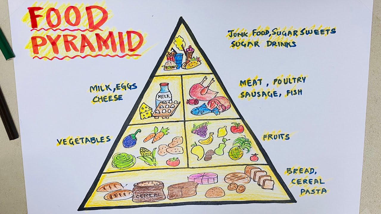  How To Draw Food Pyramid of the decade Check it out now 