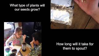 Introduction to Eco-columns