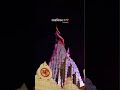 Dwarikadhai WhatsApp status Gujarati #reels #explorenow #explore #exploremore #explorepage#dwarka