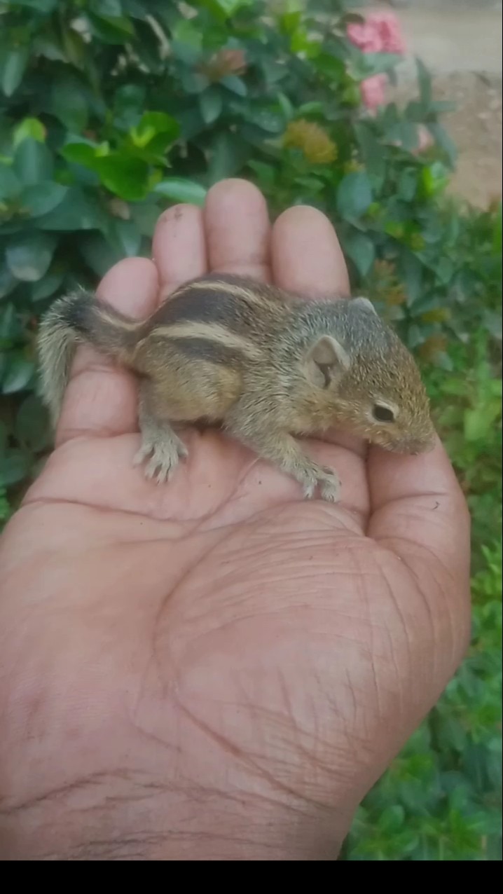 💞Feel My Love💖 - ShareChat