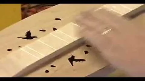 Jeff Lambert Builds and Plays Mountain Dulcimer