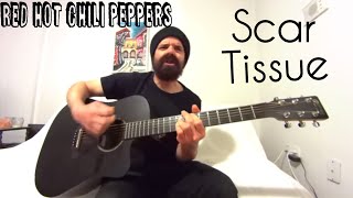 Scar Tissue - Red Hot Chili Peppers [Acoustic Cover by Joel Goguen]