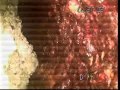 W297067 2 W297067 2