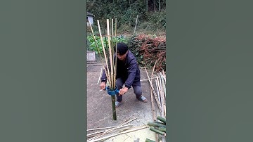 The process of evenly splitting bamboo tubes into strips using an ingenious tool #tools #short #6660