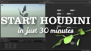 Want to learn Houdini? Start Here Net Worth