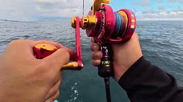 Jigging ở hòn hải phú quý, lại lên cá gáy mỏ heo lớn - tokayo ak pump + jigging master monster game