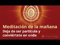 Meditación de la mañana: &quot;Deja de ser partícula y conviértete en onda&quot;, por Enrique Simó.