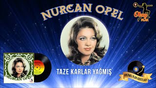 Nurcan Opel - Taze Karlar Yağmış Resimi