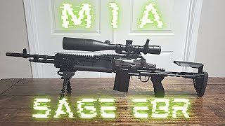 M1A/M14 EBR- SAGE INTERNATIONAL STOCK INSTALLATION- Target Shoot!!