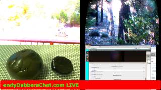 LIVE OUTDOOR GROW MONITOR & SURVELLIENCE CAMs