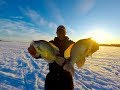 CRAPPIE SELF ICE-OLATION.