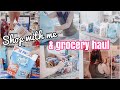SHOP WITH ME + GROCERY HAUL | FOOD LION HAUL
