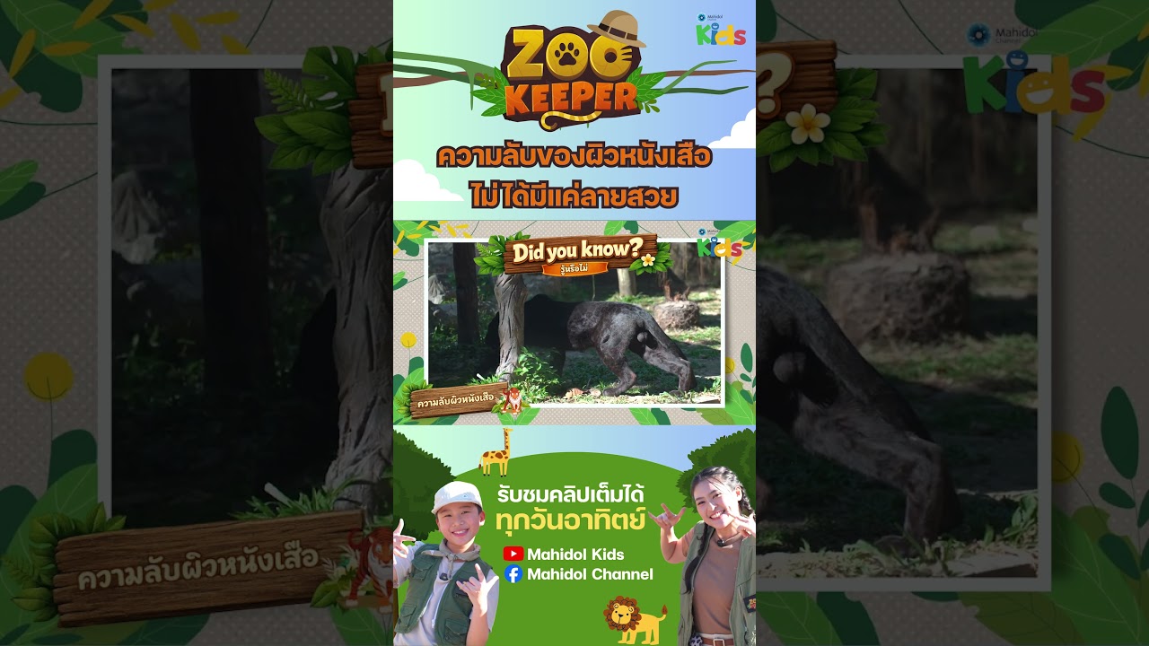 ความลับของผิวหนังเสือ…ไม่ได้มีแค่ลายสวย!