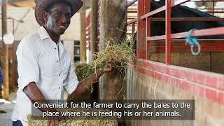 Tips on how to make hay at a smallholder farm: Part 2