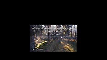 تلاوة خاشعة من سورة الروم🍂