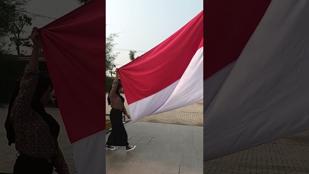Pengibaran bendera merah putih #nesukandangjago