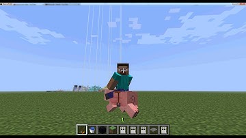 Minecraft - Riding A Pig With Carrot On A Stick