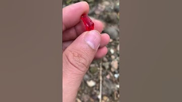 Nhặt Được Viên Đá Lạ #shorts #daquy #ruby