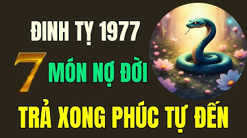 Tuổi Đinh Tỵ 1977. Thần phật chỉ rõ, có 7 món nợ đời, Trả xong rồi, Hậu vận an nhàn sung túc.