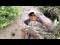 LUBANG KEPITING Grade SUPER // Big Mud Crabs