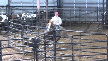 Loves Catman - sorting 1 - Valley View Ranch